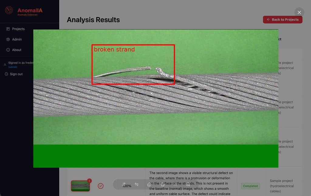 Anomalia analysis results: a broken strand on a cable highlighted with a bounding box and label.